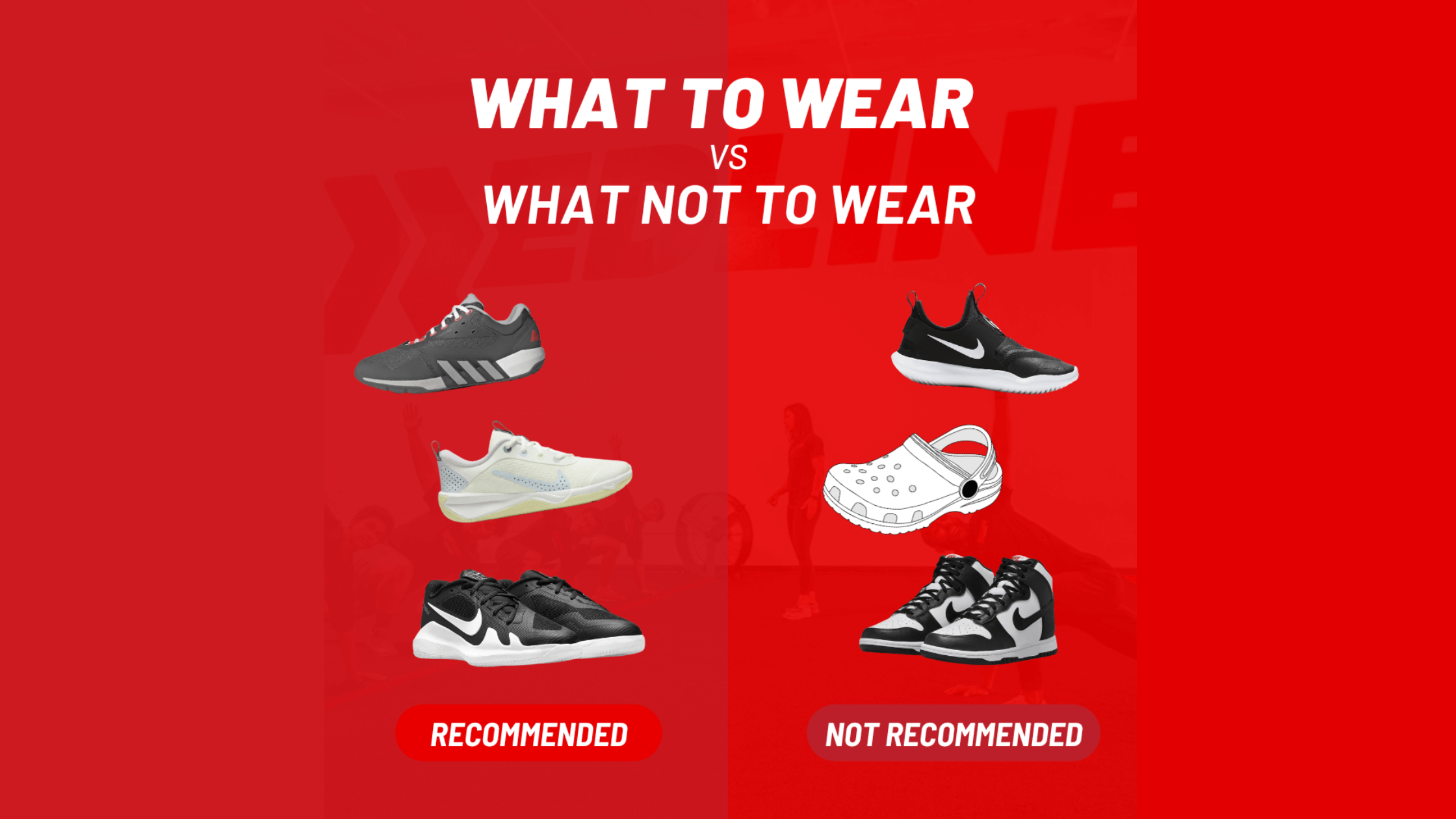 shoe recs 1