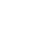 Speed Logo